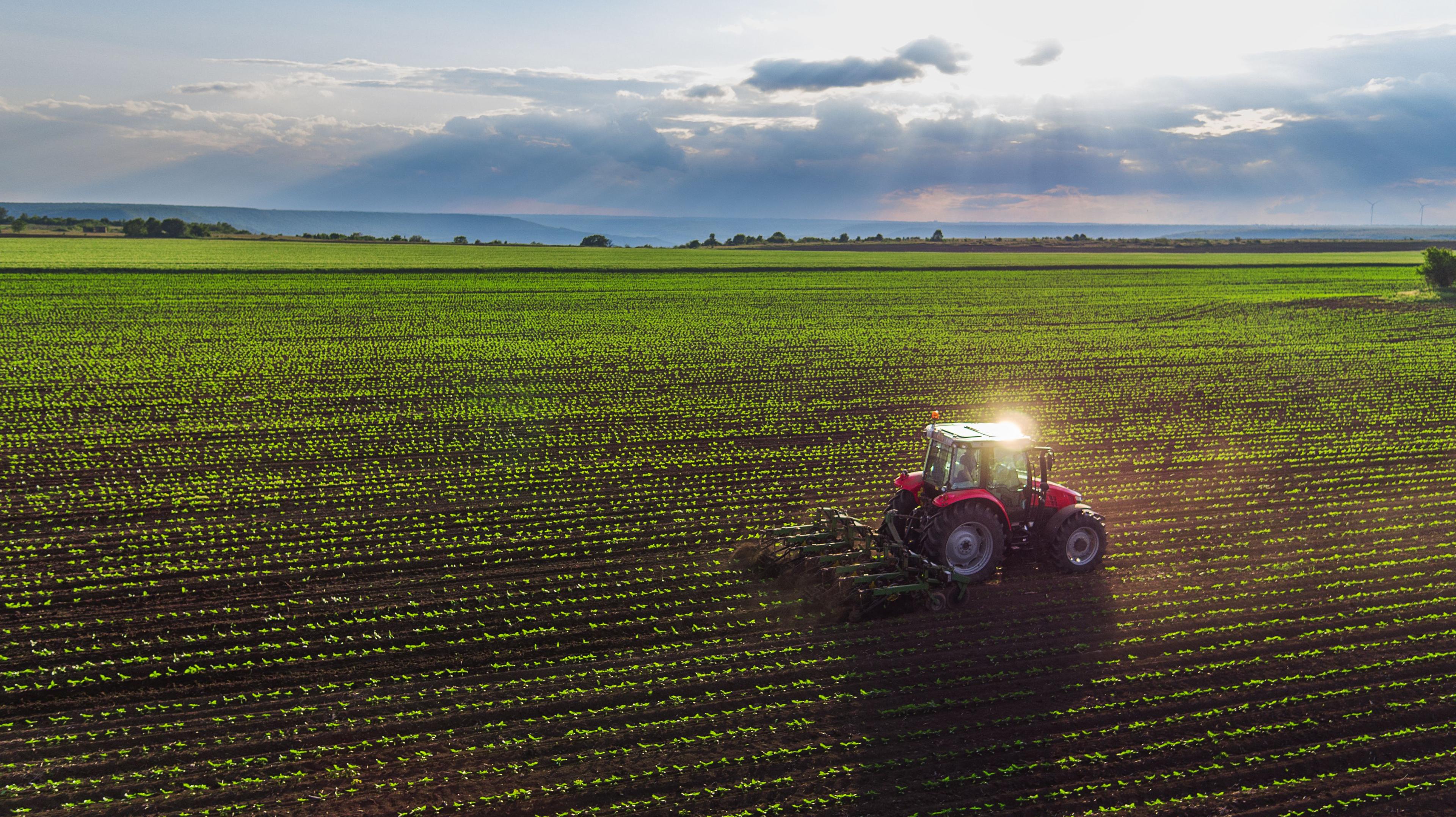 Red tractor at work in a field 